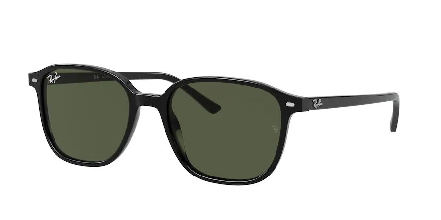 Ray-Ban 0RB2193 Leonard Prescription Sunglasses