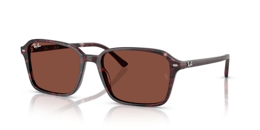 Ray-Ban 0RB2231 Raimond Prescription Sunglasses