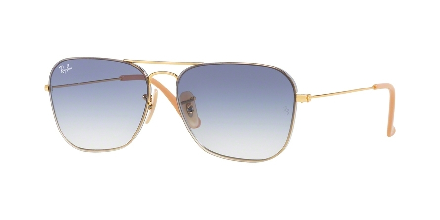 Ray-Ban 0RB3603 Sunglasses