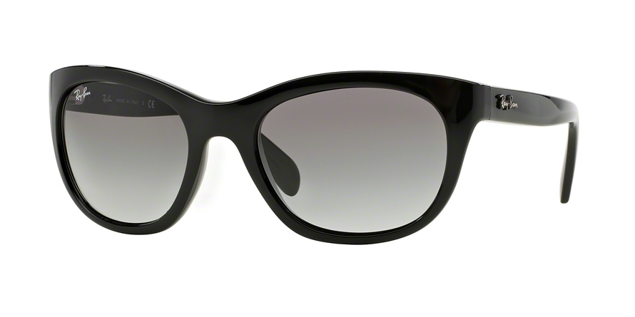 Ray-Ban 0RB4216  Sunglasses