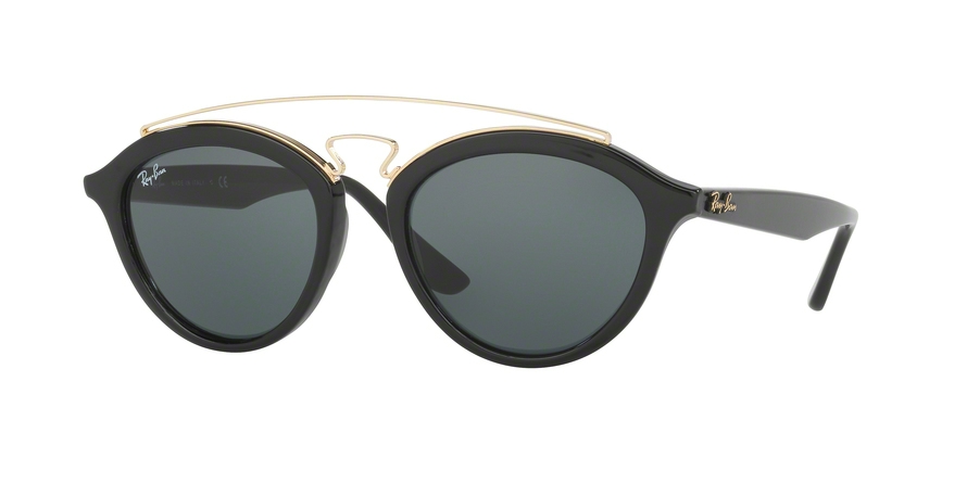 Ray-Ban 0RB4257 New Gatsby II Sunglasses