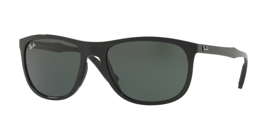 Ray-Ban 0RB4291 Sunglasses