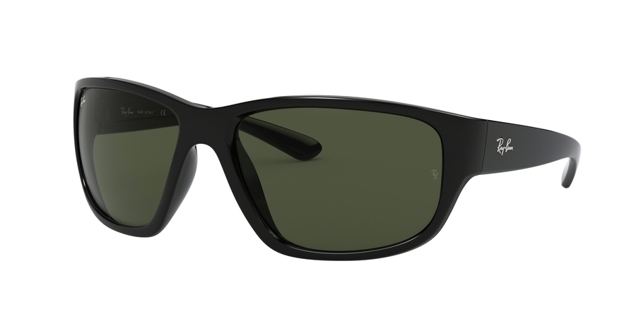 Ray-Ban 0RB4300 Sunglasses