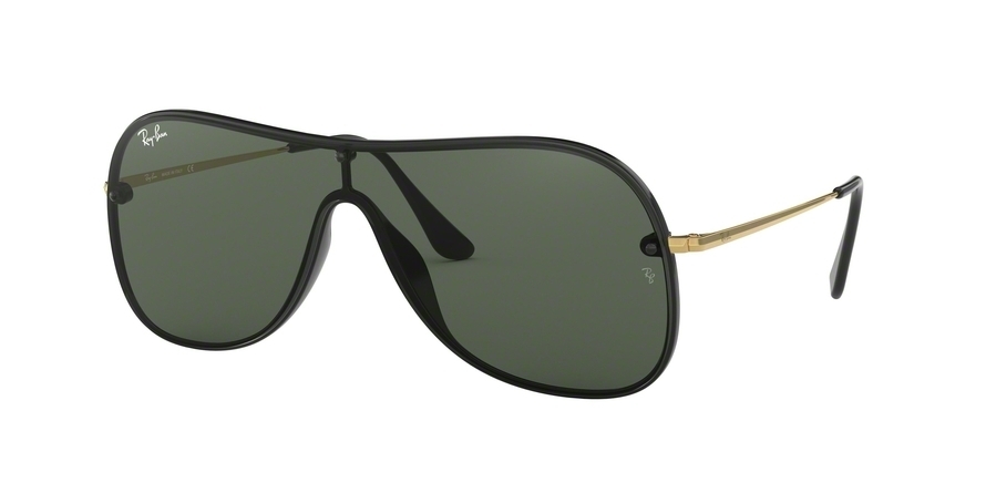 Ray-Ban 0RB4311N Sunglasses