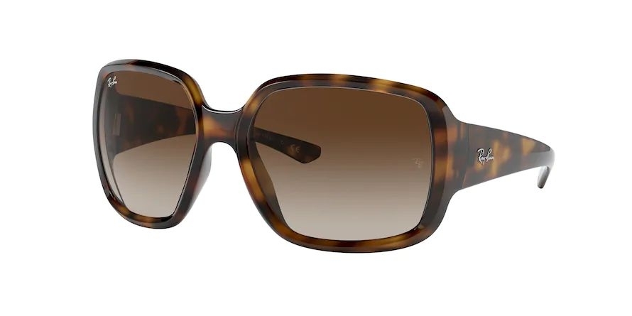 Ray-Ban 0RB4347 Powderhorn Prescription Sunglasses