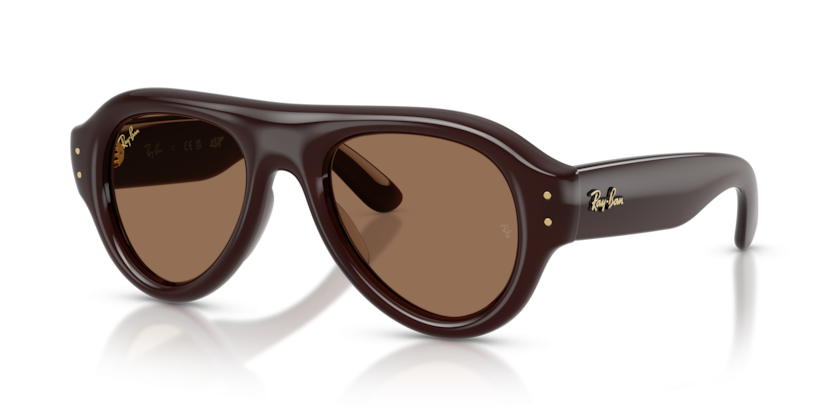 Ray-Ban 0RB4925 Puffer Sunglasses