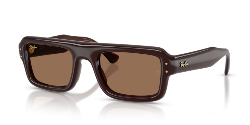 Ray-Ban 0RB4954 Puffer Sunglasses