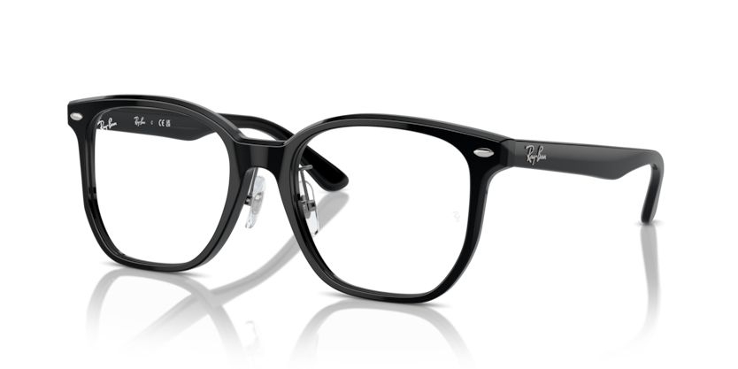 Ray-Ban 0RX 5425D