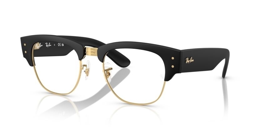 Ray-Ban 0RX 7316V