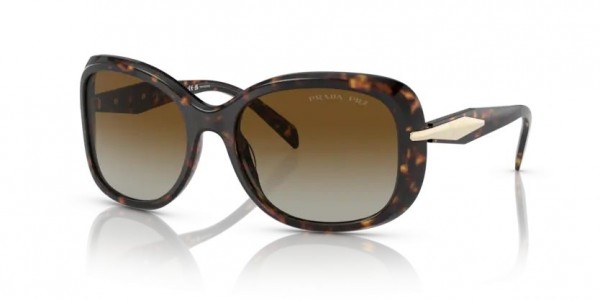2AU6E1 (tortoise) polarized brown grad lens