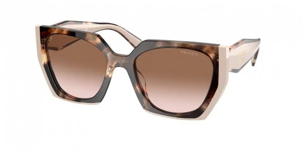 01R0A6 (caramel tortoise/powder) 