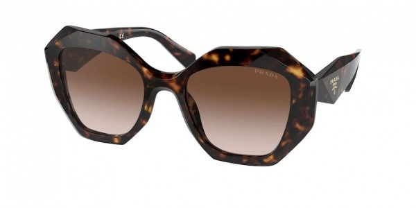 2AU6S1 (tortoise) brown gradient lens
