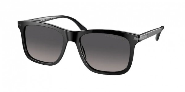 1AB09G (black) polarized lens