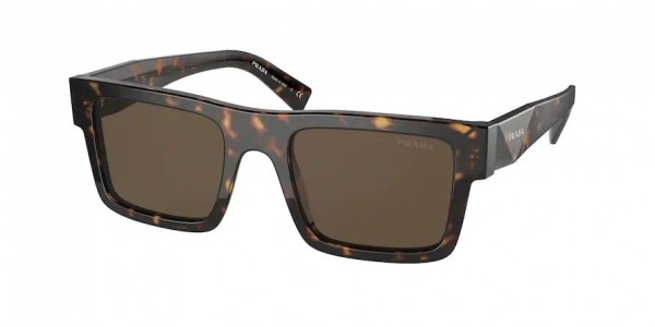 2AU8C1 (tortoise) dark brown l;ens