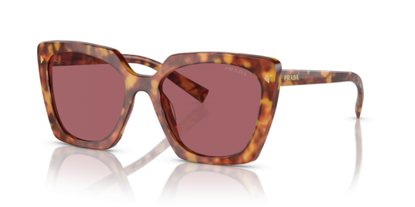 4BW08S (light tortoise) dark violet lens