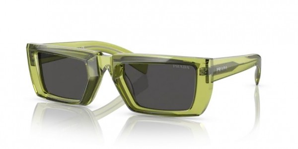 19B5S0 (crystal fern) dark grey lens