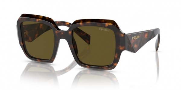 14L09Z (sage/honey tortoise) dark brown lens