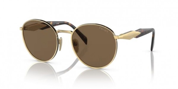 10F06B (gold) dark brown lens