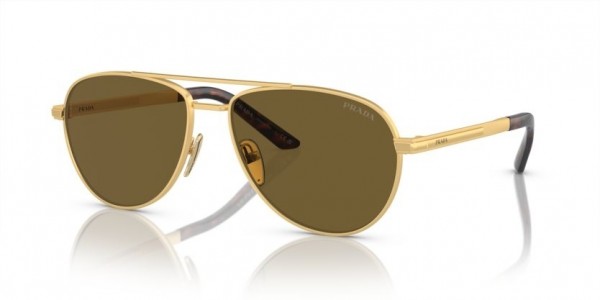 1BK01T (matte gold) dark brown lens
