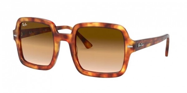 130051 (red havana) clear gradient brown lens
