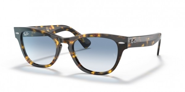 Ray-Ban 0RB2201 Laramie Sunglasses