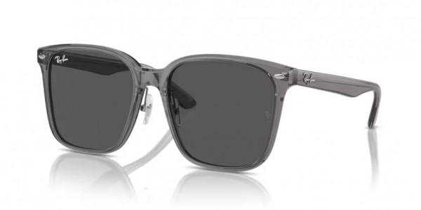Ray-Ban 0RB2206D Prescription Sunglasses