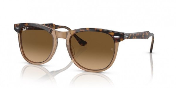 1292M2 (tortoise) brown grad polarized lens
