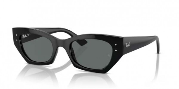 667781 (black) dark grey polarized lens
