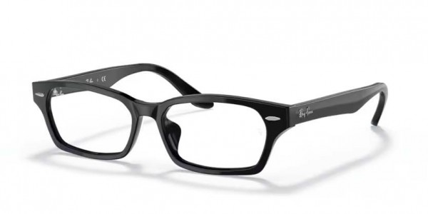 Ray-Ban 0RX 5344D