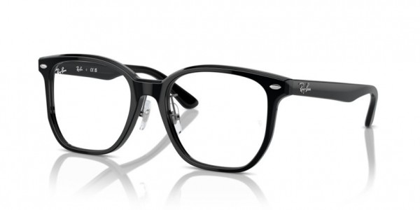 Ray-Ban 0RX 5425D