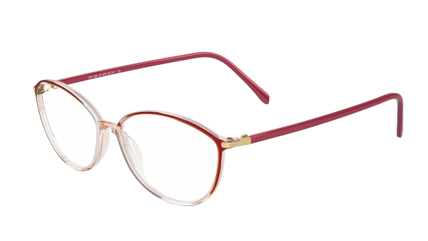6079 (champagne brown)