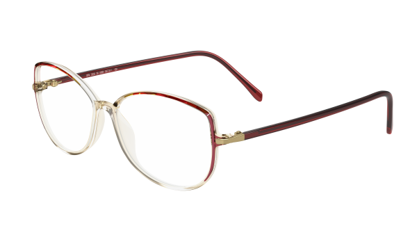 6080 (champagne brown)