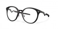 818101 (satin black)