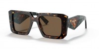 2AU06B (tortoise) dark brown lens
