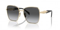 ZVN5W1 (pale gold) grey grad. polarized lens