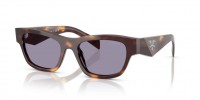 15W03N (classic tortoise) grey lens