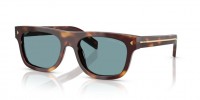15W04D (classic tortoise) green polar lens
