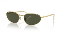 001/31 (gold) green lens
