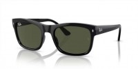 601/31 (black on gold) dark green lens
