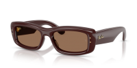687773 (transparent dark brown) dark brown lens