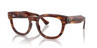 2144 (striped havana)