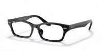 Ray-Ban 0RX 5344D