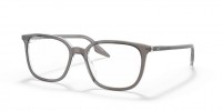 8111 (grey on transparent)