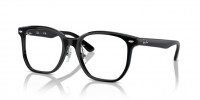 Ray-Ban 0RX 5425D