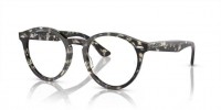 8117 (grey havana)