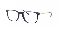 8100 (blue)