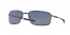 407504 (carbon) grey polarized lens