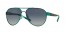 411006 (PEACOCK) black polarized lens