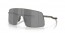 601301 (matte gunmetal) prizm black lens