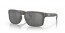 9102W9 (woodgrain) prizm grey polarized lens